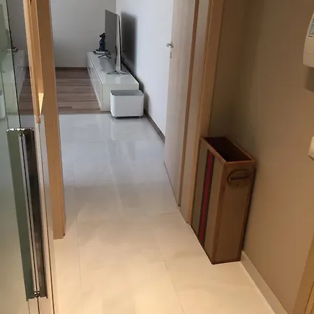 Braila Apartment *